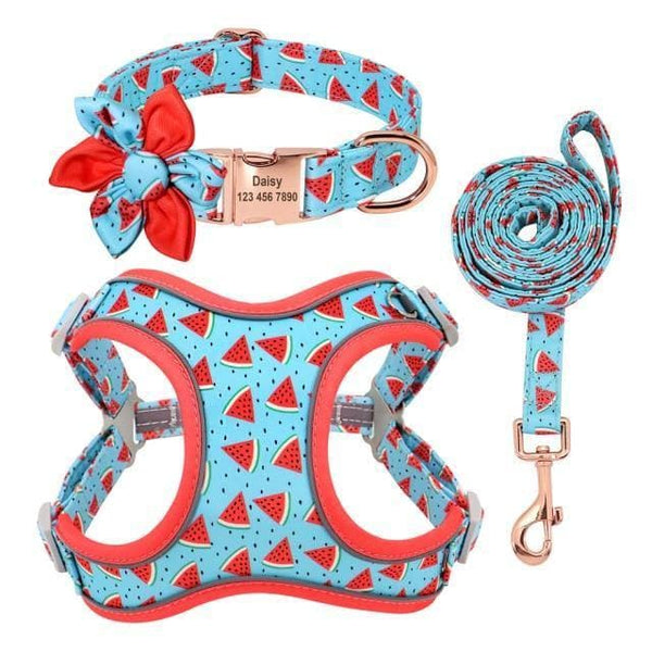 Load image into Gallery viewer, personalised dog collar with Harness leash &amp; personalised collar

