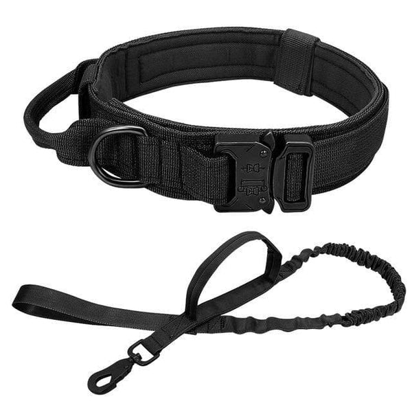 Load image into Gallery viewer, military style dog collar and leash
