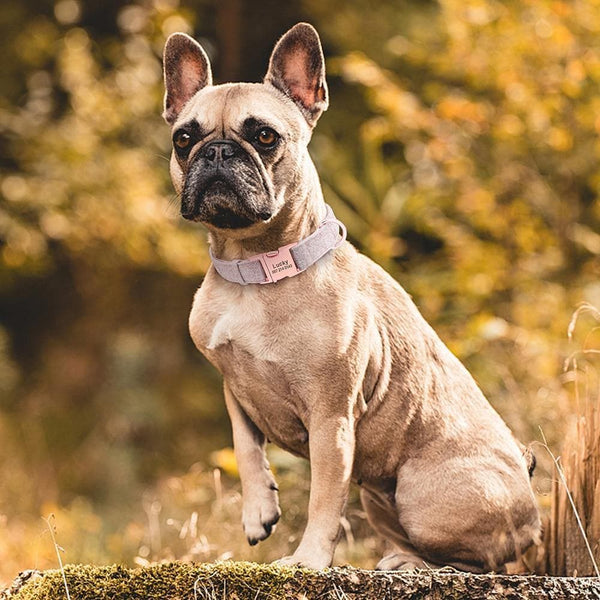 Load image into Gallery viewer, personalised dog collar with rose gold buckle
