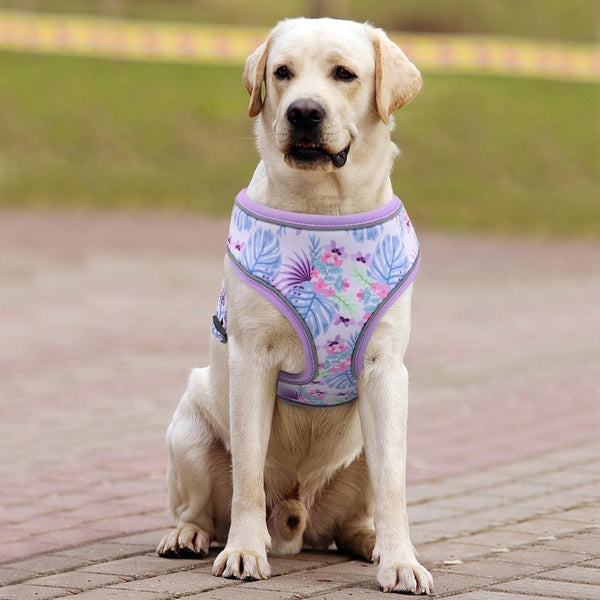 Load image into Gallery viewer, Floral dog harness labrador
