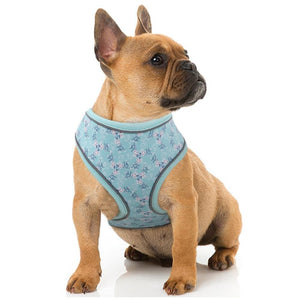 Floral dog harness frenchie
