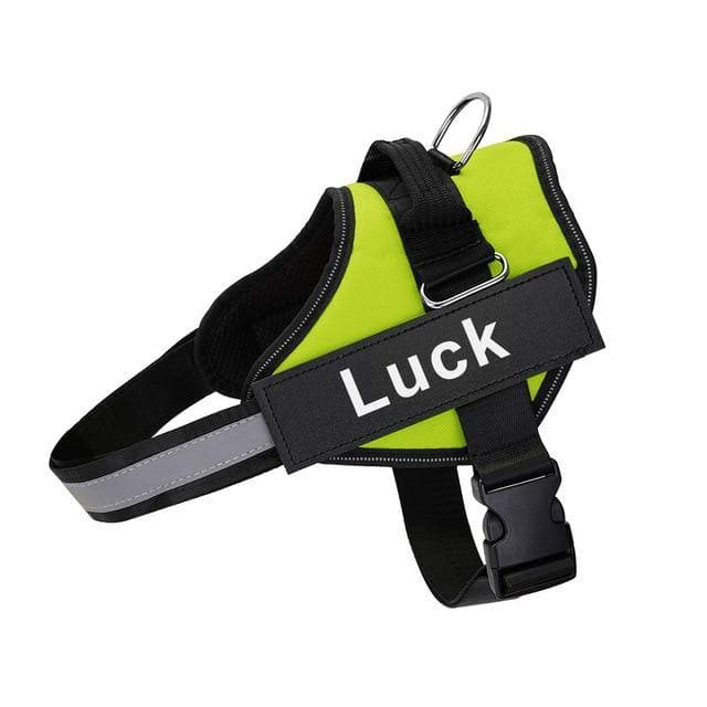 ID Pup Lime - Personalised Harness