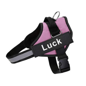 ID Pup Pink - Personalised Harness