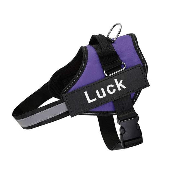 Load image into Gallery viewer, ID Pup Purple - Personalised Harness

