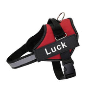 ID Pup Red - Personalised Harness