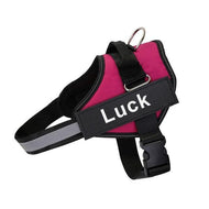 ID Pup Rose - Personalised Harness