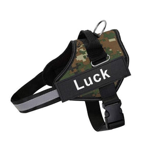 ID Pup Camo - Personalised Harness