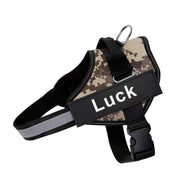 ID Pup Desert - Personalised Harness