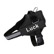 ID Pup Black - Personalised Harness