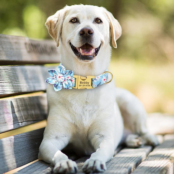 Load image into Gallery viewer, Personalised dog collar floral engraved name and phone number dog wearing labrador
