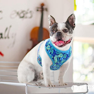 floral dog harness and matching leash set