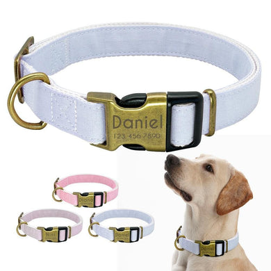 personalised pet collar with engraving pastel colour