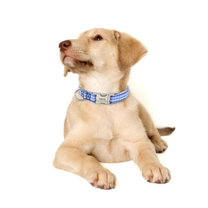 Personalised checkered dog collar
