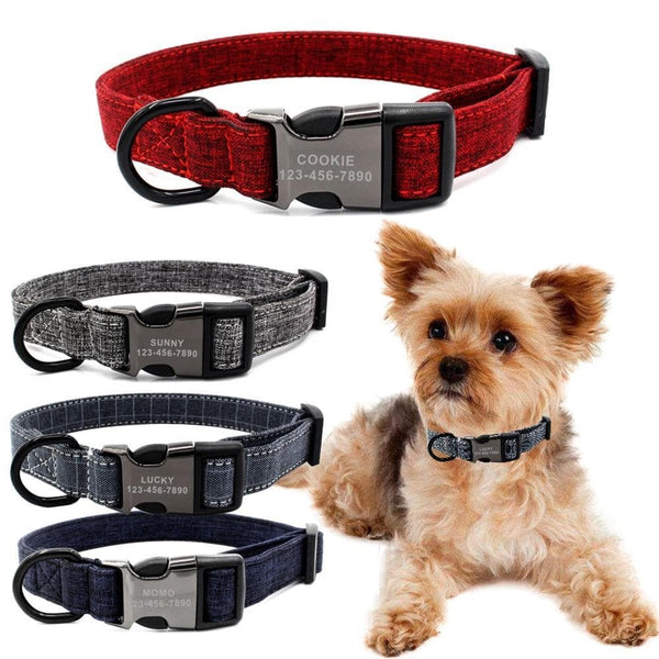Load image into Gallery viewer, Plush Puppy - Personalised Collar
