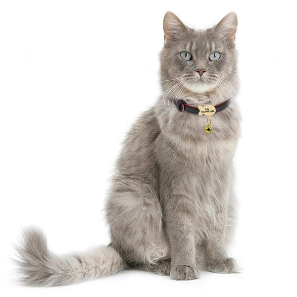 Load image into Gallery viewer, personalised cat collar with tag engraved name and phone number cat

