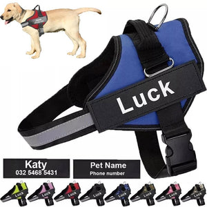 ID Pup Blue - Personalised Harness