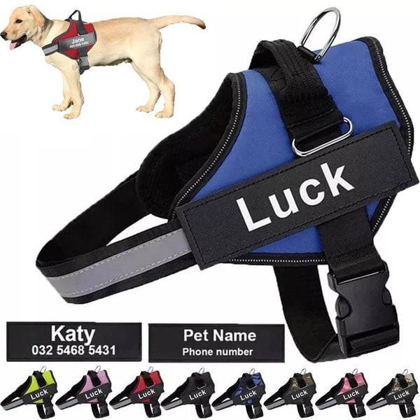 Load image into Gallery viewer, ID Pup Blue - Personalised Harness
