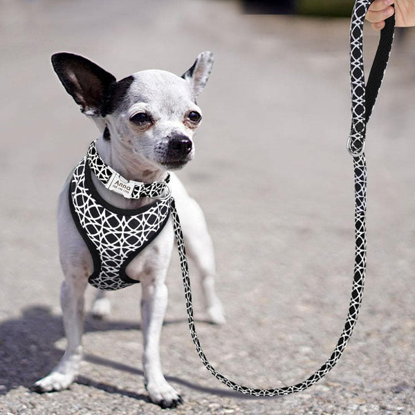 Load image into Gallery viewer, Dog wearing per harness set with personalised collar
