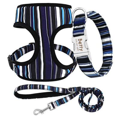 dog harness personalised collar with engraving and matching leash