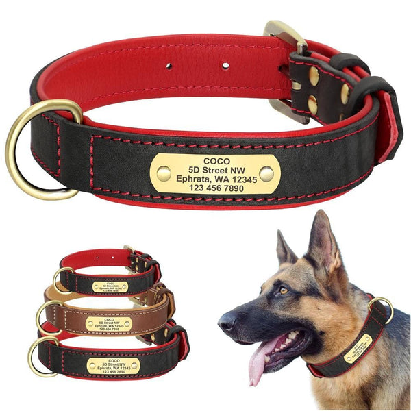 Load image into Gallery viewer, Master Stitch - Personalised Collar
