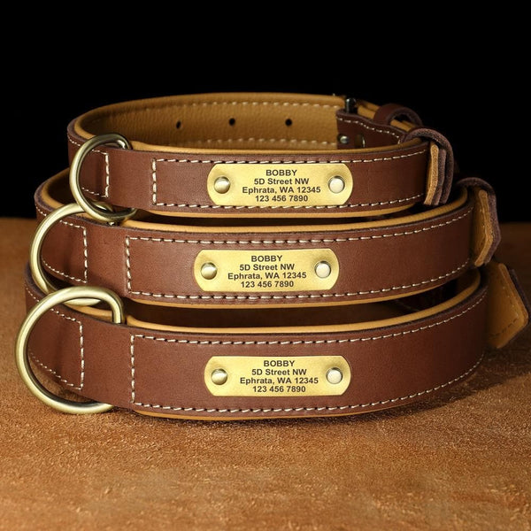 Load image into Gallery viewer, Master Stitch - Personalised Collar
