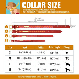 Chief Co - Personalised Collar