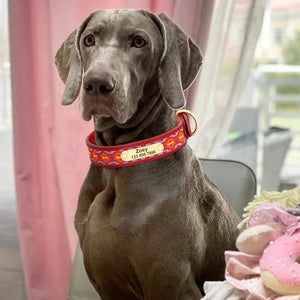 Chief Co - Personalised Collar