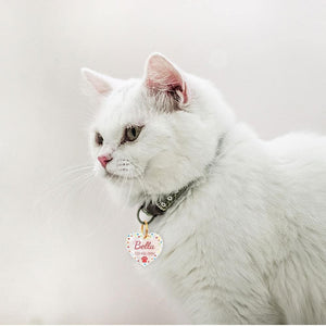 Personalised pet tag cat wearing