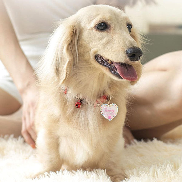 Load image into Gallery viewer, Personalised pet tag dog wearing
