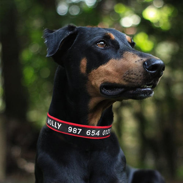 Load image into Gallery viewer, Black ID - Personalised Collar

