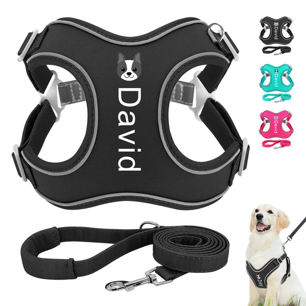 Load image into Gallery viewer, Neoprene Print - 2 Piece Set - Leash &amp; Personalised Harness

