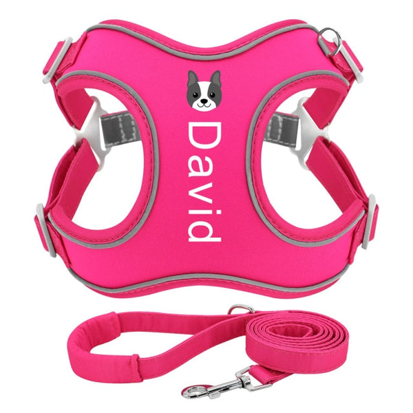 Load image into Gallery viewer, Neoprene Print - 2 Piece Set - Leash &amp; Personalised Harness
