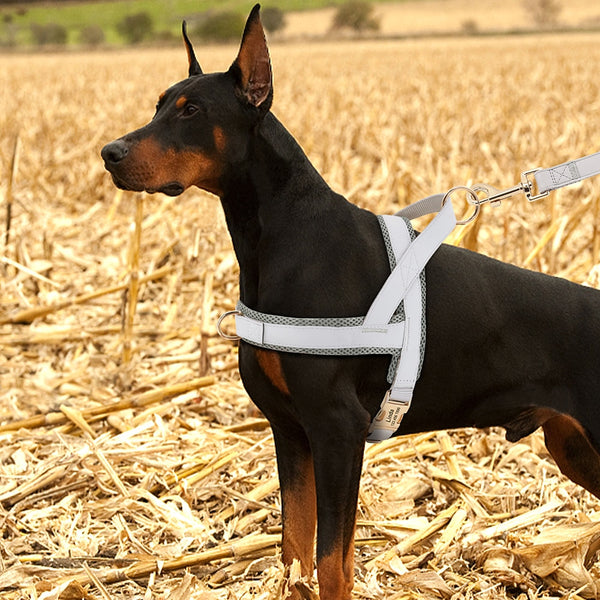 Load image into Gallery viewer, Sleek Pup - Personalised Harness
