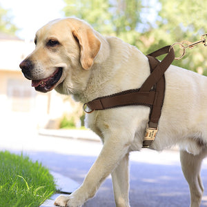 Sleek Pup - Personalised Harness
