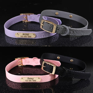 Jelly Paws Grey - Personalised Collar