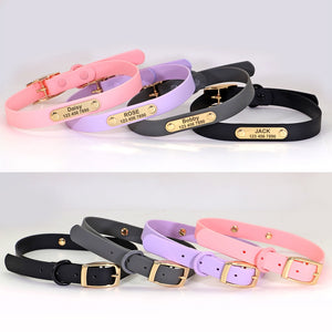Jelly Paws Black - Personalised Collar