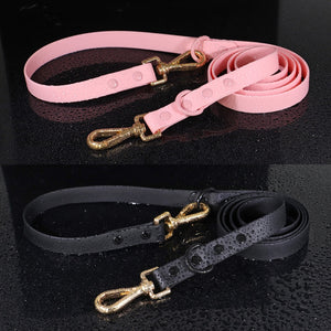 Jelly Paws - 2 Piece Set - Leash & Personalised Collar