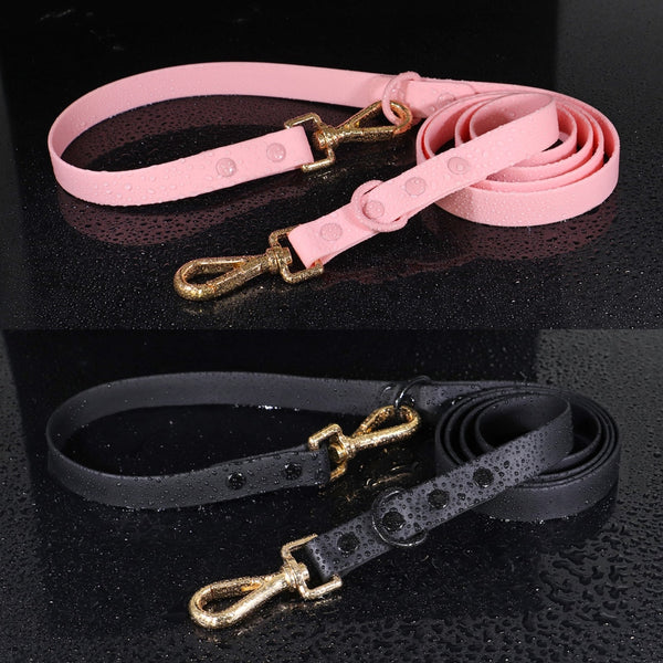 Load image into Gallery viewer, Jelly Paws - 2 Piece Set - Leash &amp; Personalised Collar
