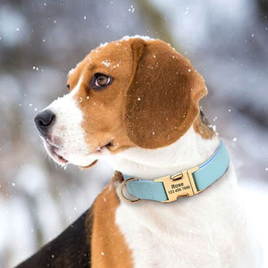Sleek Pup - Personalised Collar
