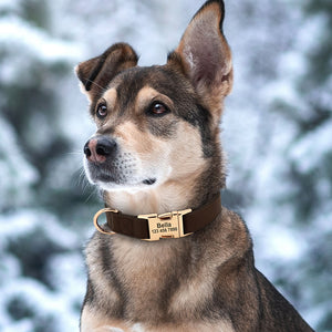 Sleek Pup - Personalised Collar