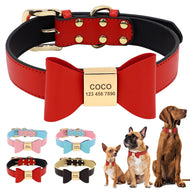 Bow Wow Meow - Personalised Collar
