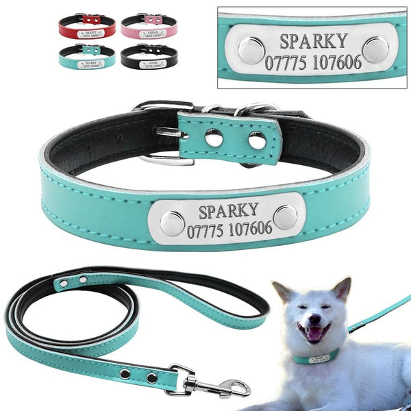 Load image into Gallery viewer, Smug Pug - 2 Piece Set - Personalised Collar &amp; Leash
