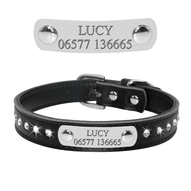 Sparky - Personalised Collar
