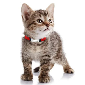 Tiny Pet - Personalised Collar
